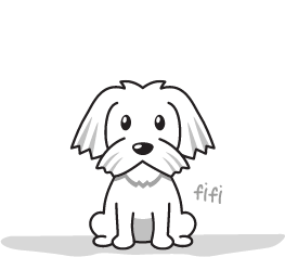 Waterdog - Tarifs Petits chiens